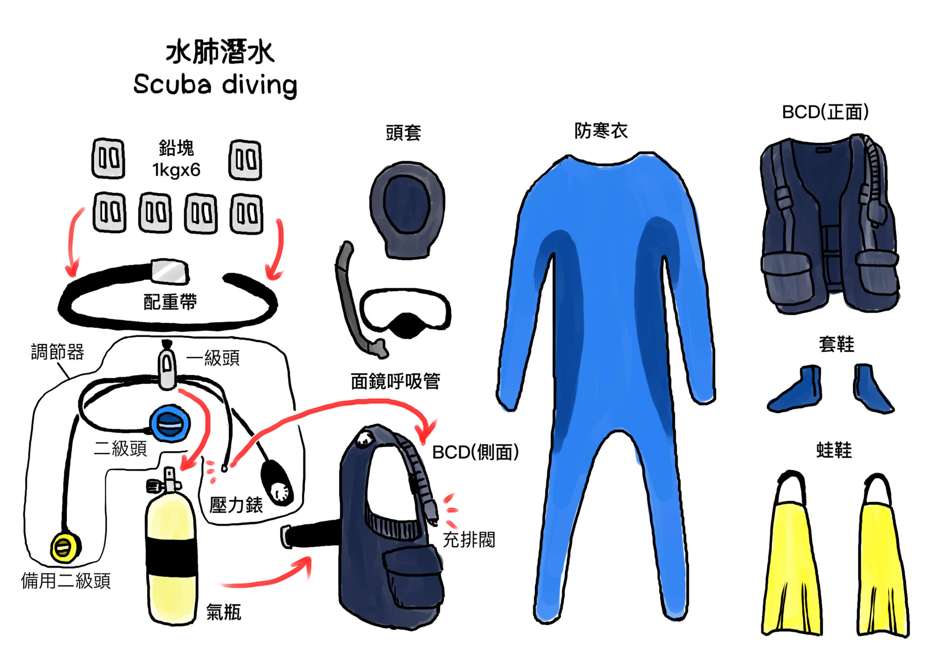 親近海洋第一步 浮潛 水肺 自潛大剖析 Bluetrend 藍色脈動