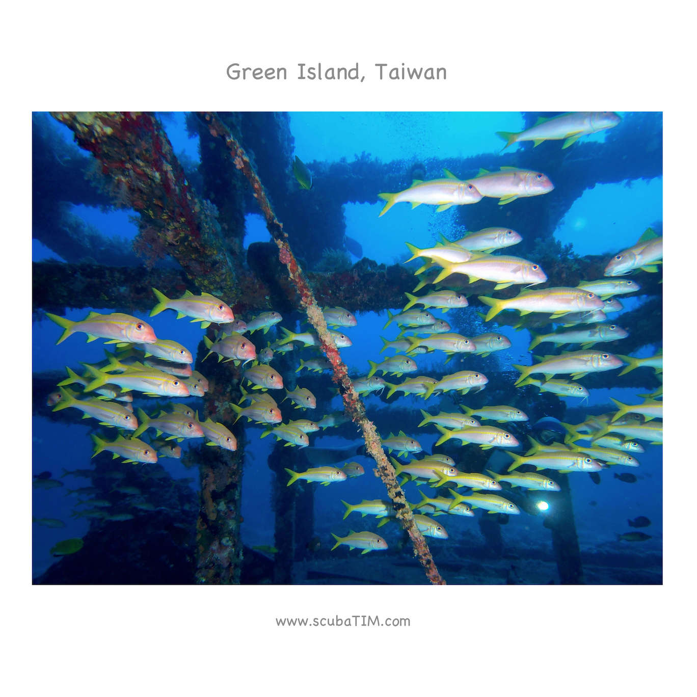 台灣綠島國際潛水攝影比賽