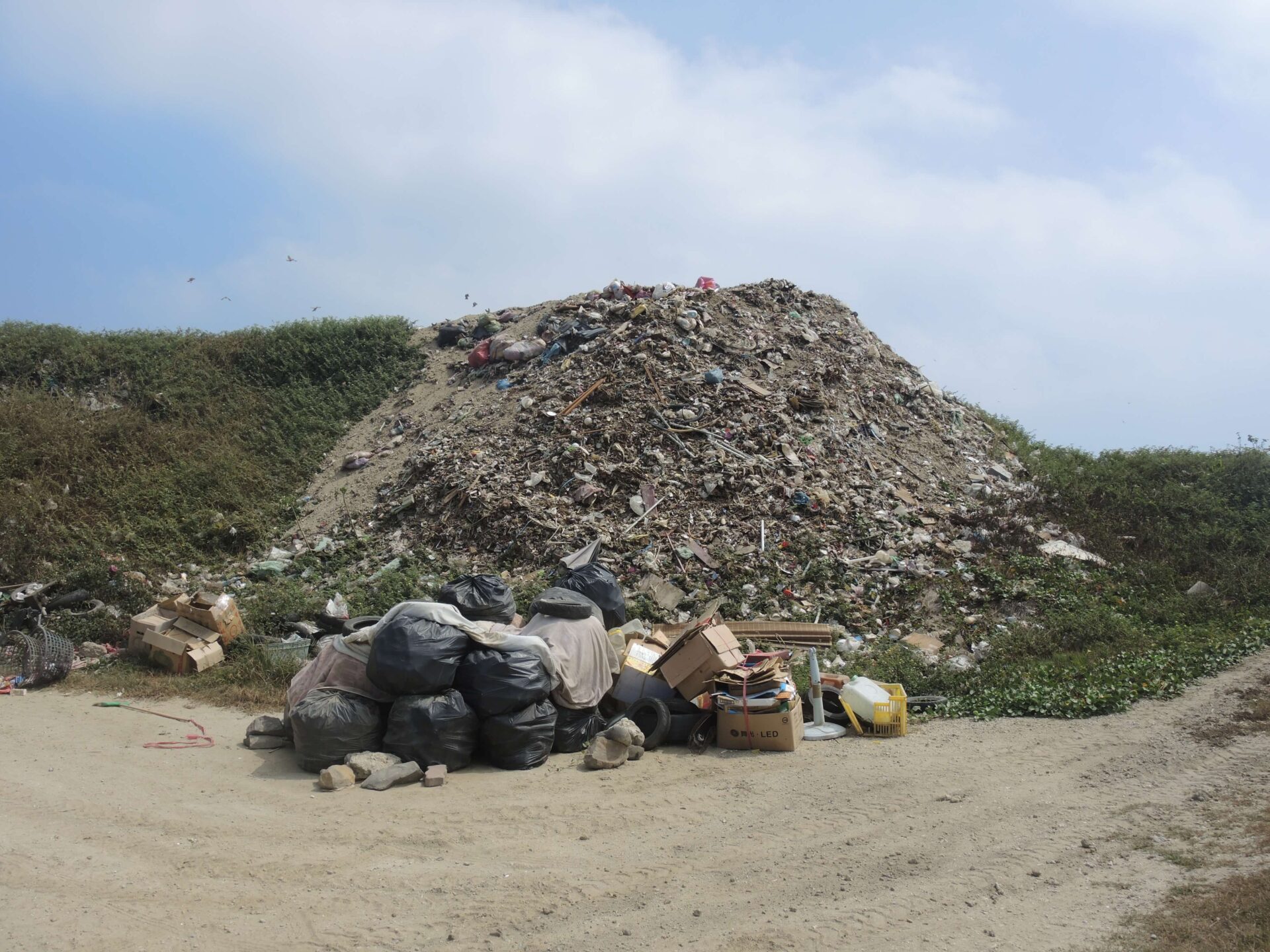 海廢塑膠 塑膠禁令