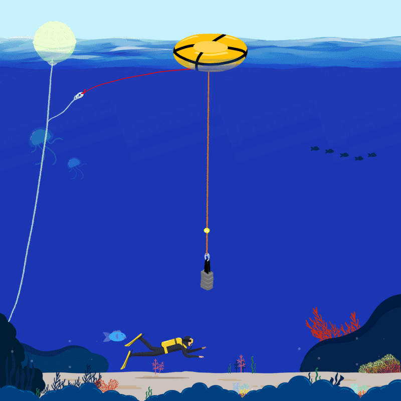 自由潛水 浮球設置