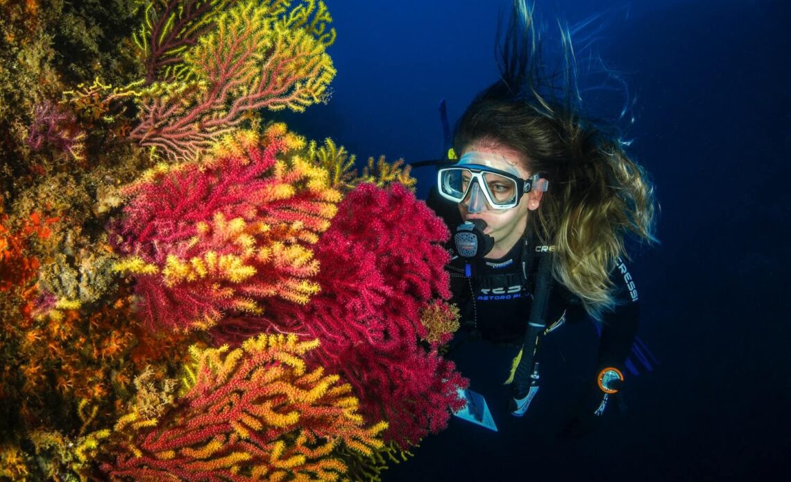 潛水新手 潛水新手常見的18大問題，你是新手嗎？看就對了！