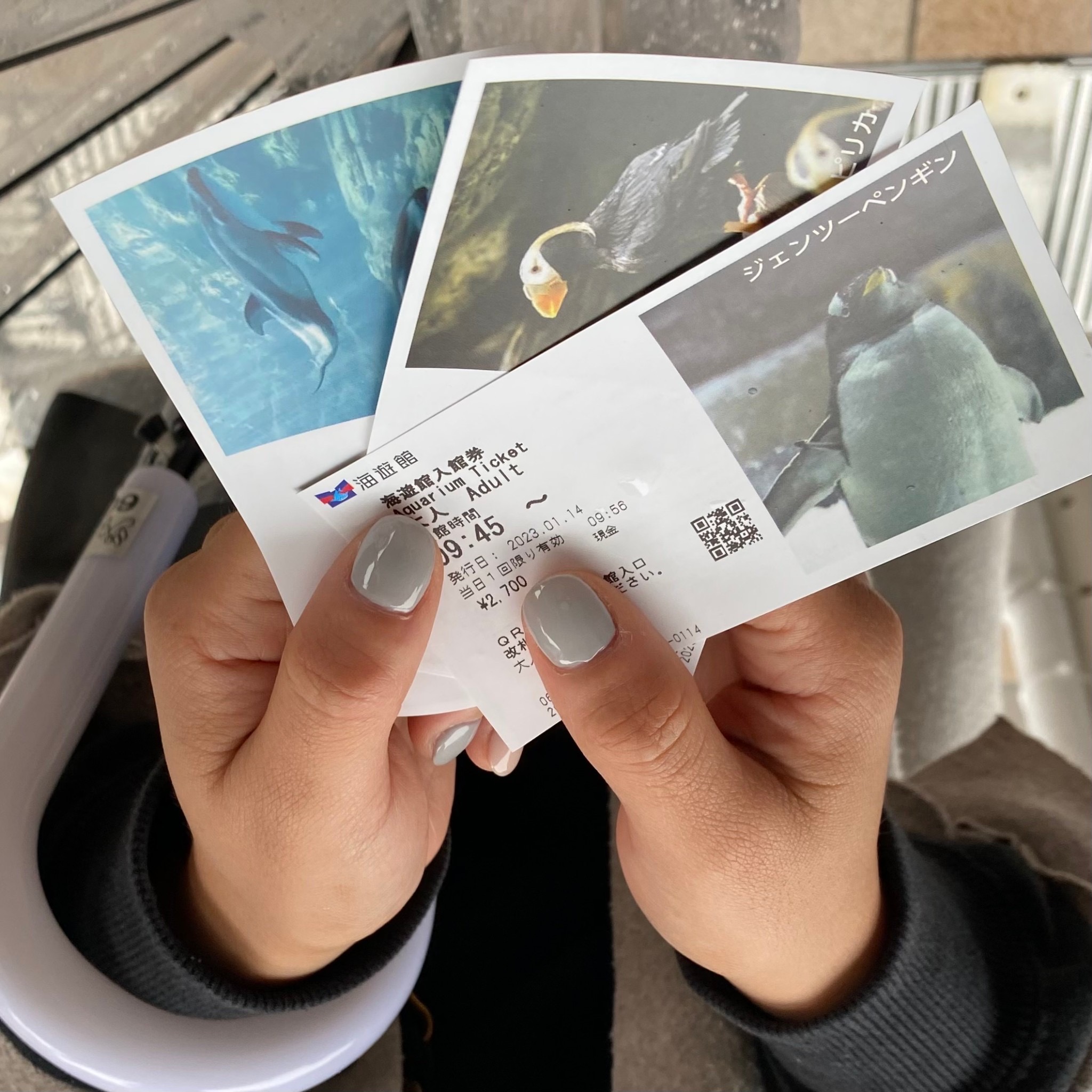IMG 9897 【日本大阪】世界級的超大水族館！大阪海遊館行程攻略￼