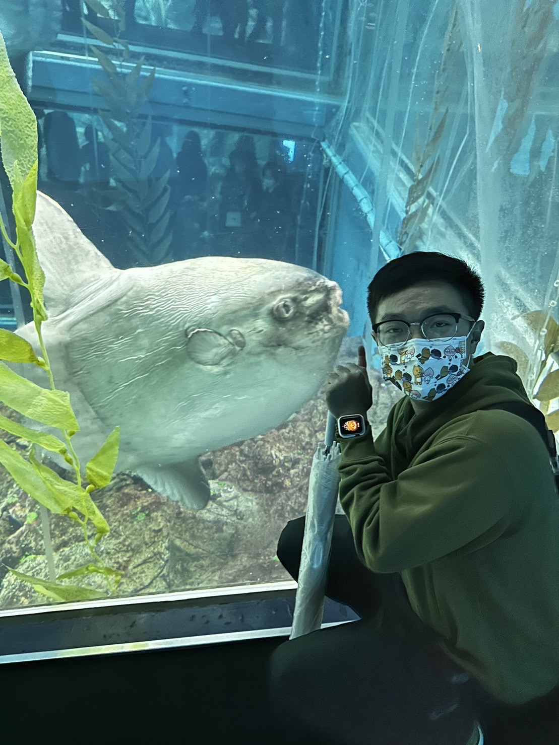 IMG 9903 【日本大阪】世界級的超大水族館！大阪海遊館行程攻略￼