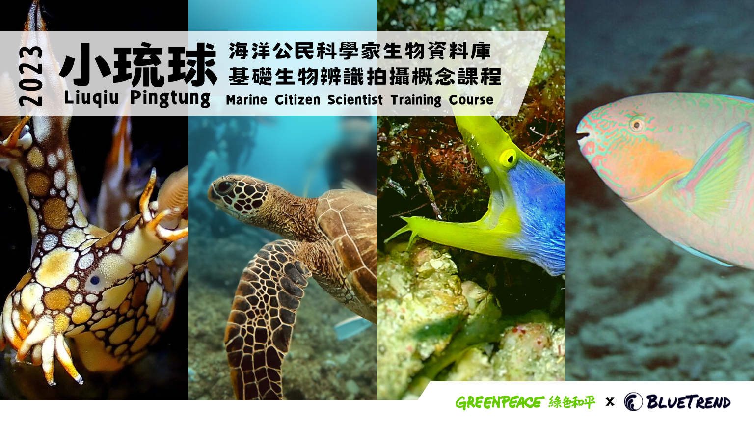 BTxGP封面 1 2023 小琉球海洋公民科學家生物資料庫