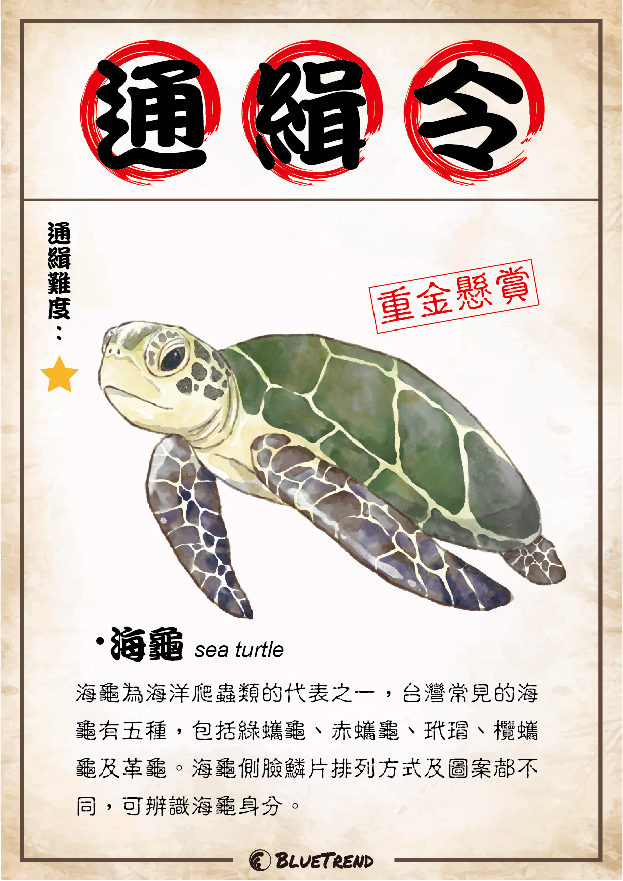 生物懸賞 0804 海龜 2023 小琉球海洋公民科學家生物資料庫