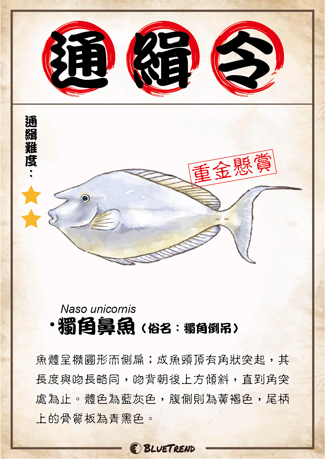 生物懸賞 0804 獨角鼻魚 2023 小琉球海洋公民科學家生物資料庫