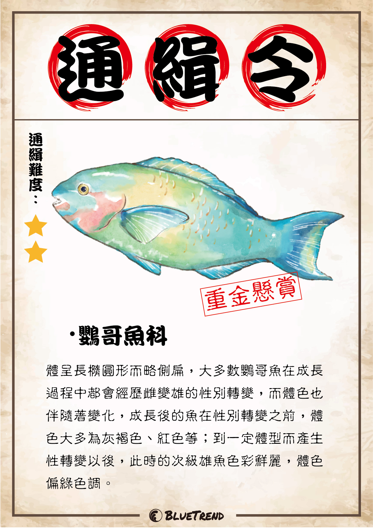 生物懸賞 0804 鸚哥魚科 2023 小琉球海洋公民科學家生物資料庫