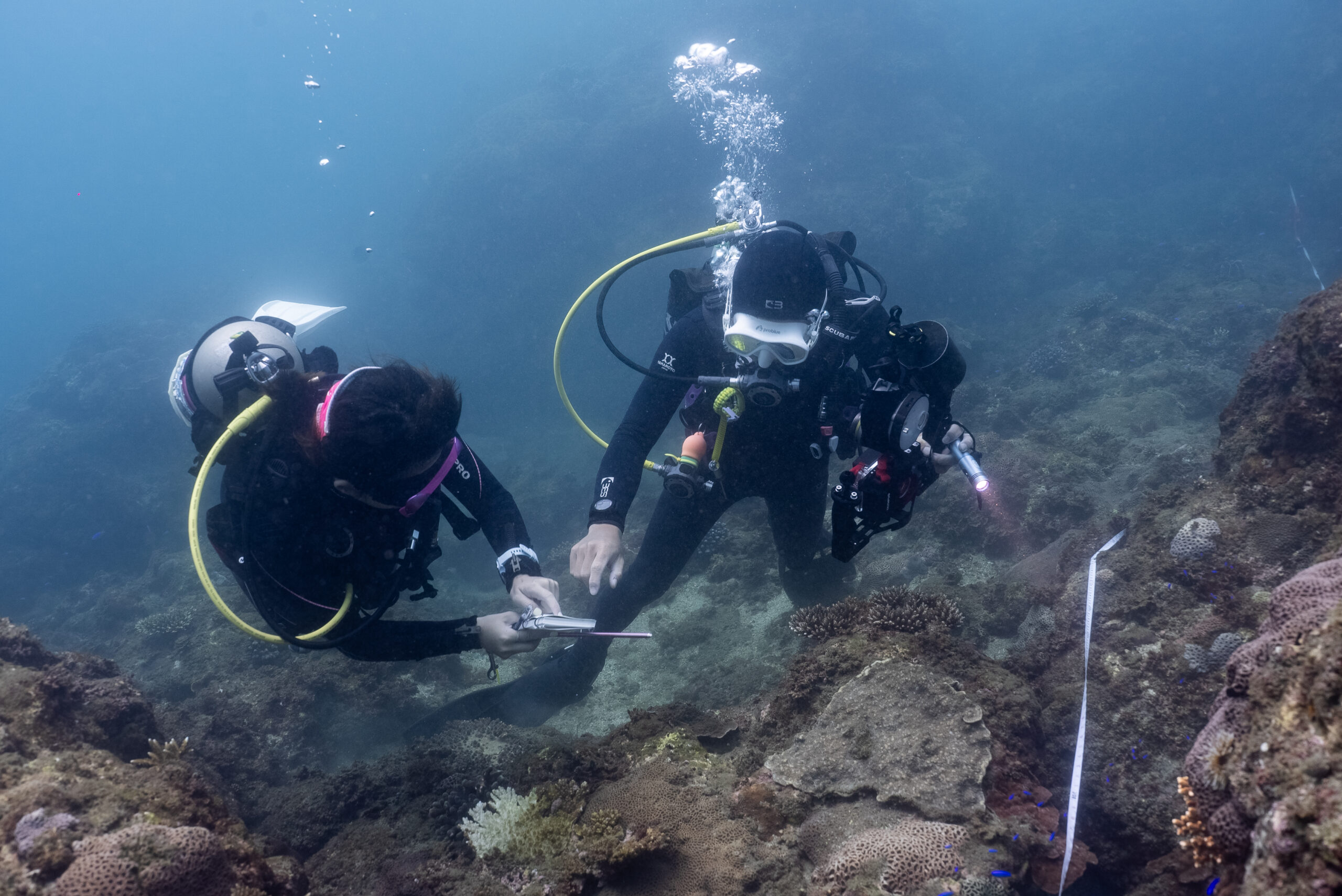 DSC07377 scaled 探索基隆海洋之美，揭開潮境保育區生態調查及海洋公民科學家成果