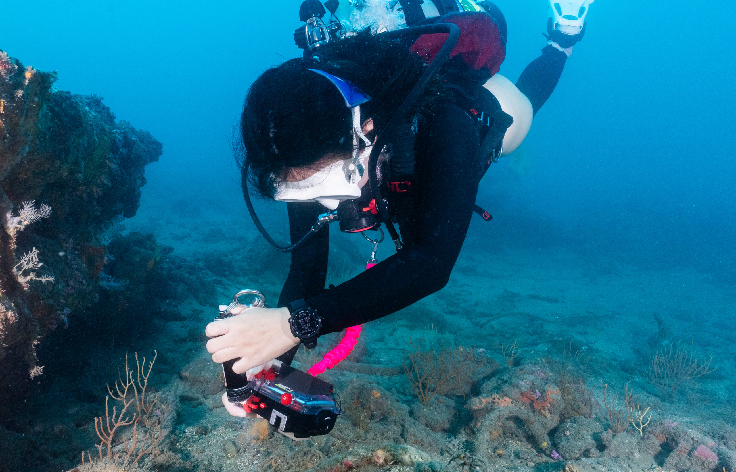 DSC09085 scaled 探索基隆海洋之美，揭開潮境保育區生態調查及海洋公民科學家成果