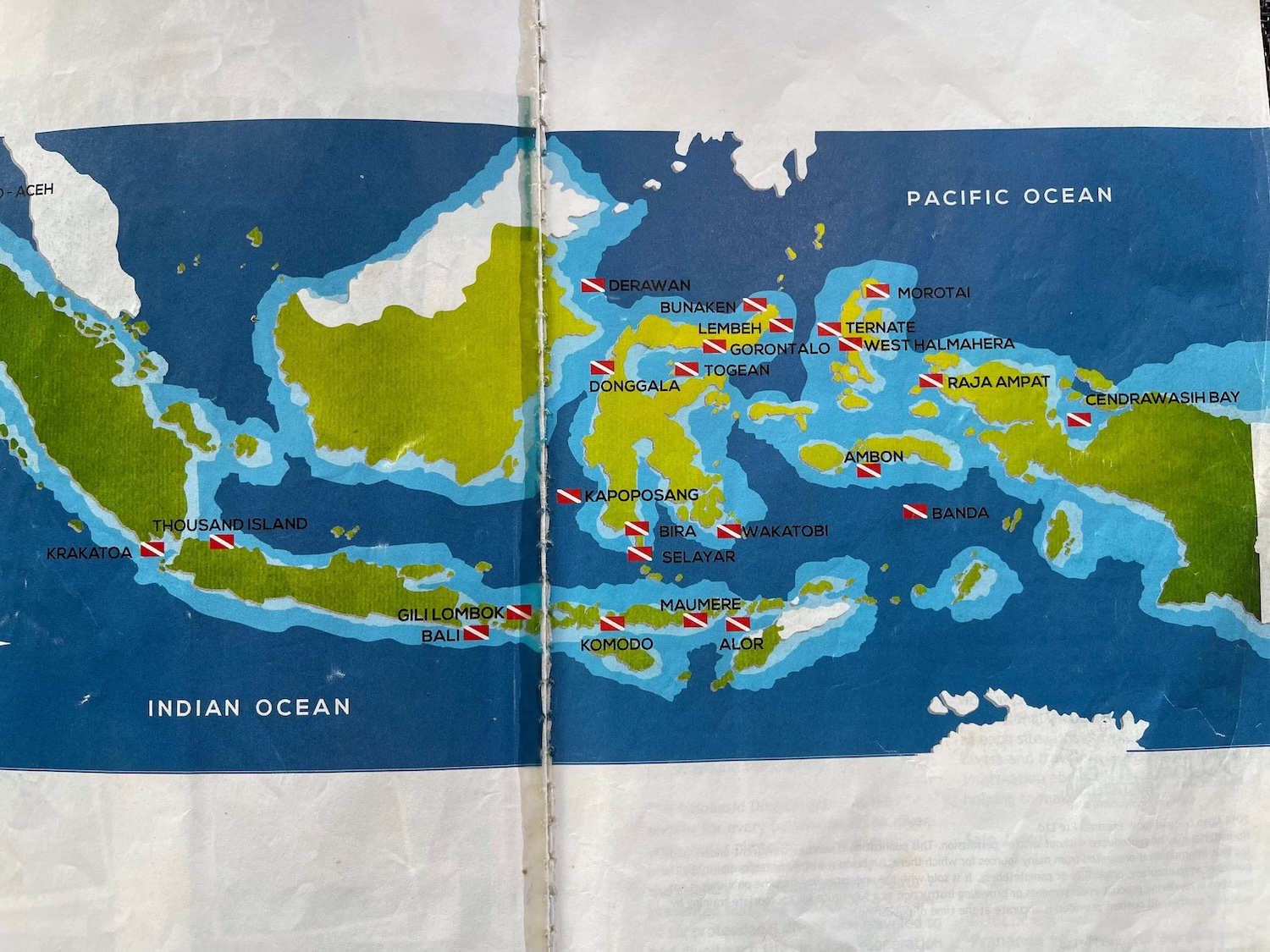 IMG 0539 【印尼 】Part 1：Neomi Cruise 頂級印尼船宿玩什麼？儒艮錘頭鯊旗魚大物團，一年一期跨洋行程獨家開箱