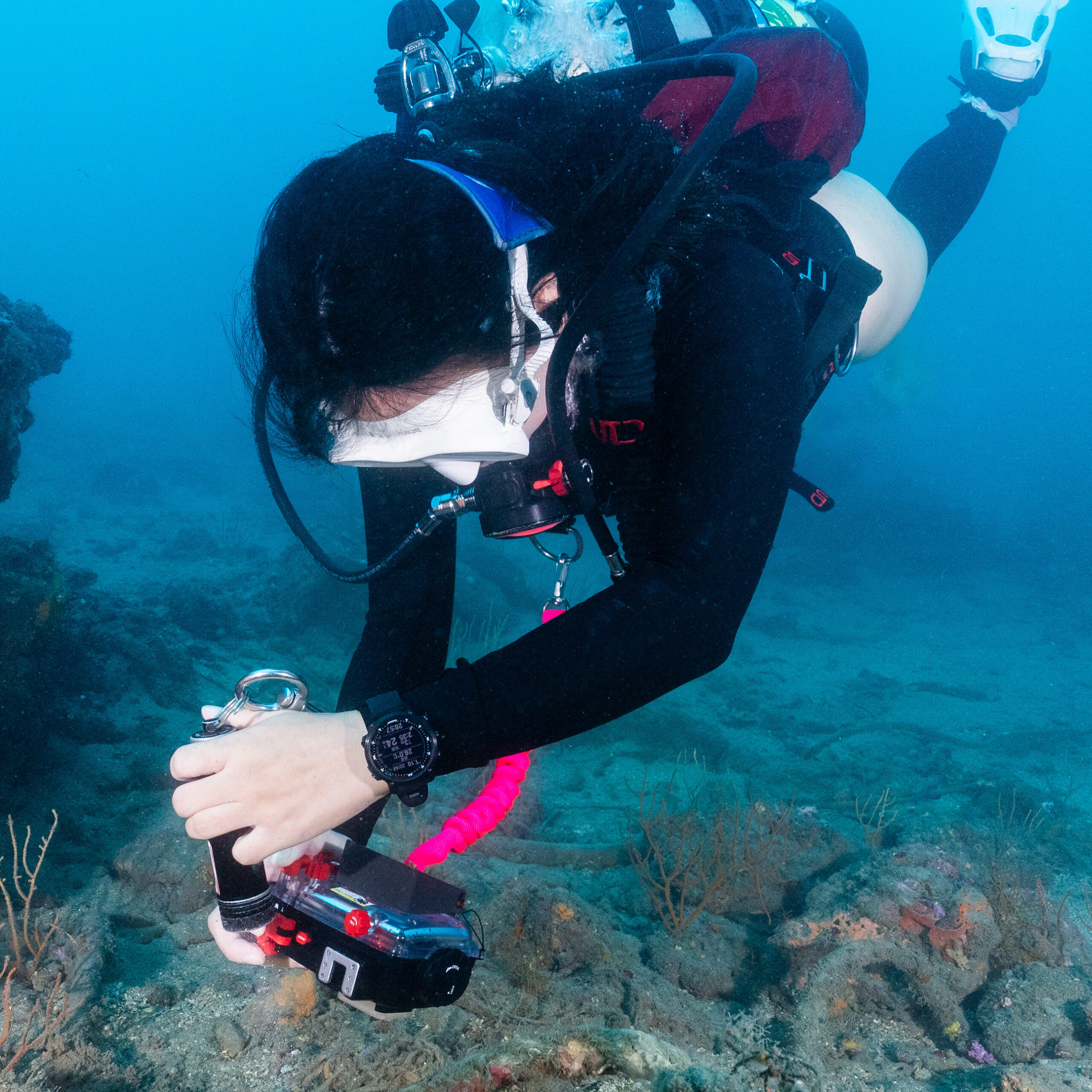 DSC09085 edited 1 scaled 海洋保育署 海洋關注物種目擊回報推廣計畫