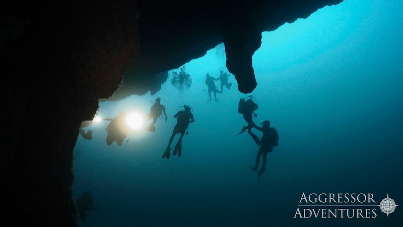 Belize UW9 世界十大潛點就在這，水下鐘乳石遺跡、鯊魚護衛隊伴潛，一起去貝里斯潛水！