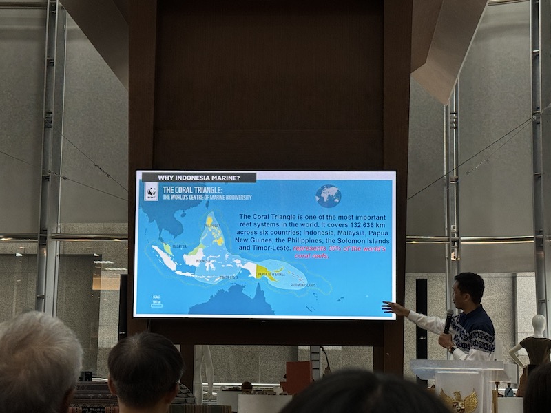 IMG 6342 世界上最大的群島國家、擁有 1.7 萬個小島、海人一生必去，印尼潛水點大揭秘！