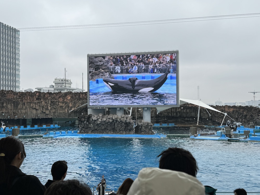 IMG 0287 【日本｜名古屋】初見殺人鯨的感動，一整天逛不完！開箱日本最大水族館！