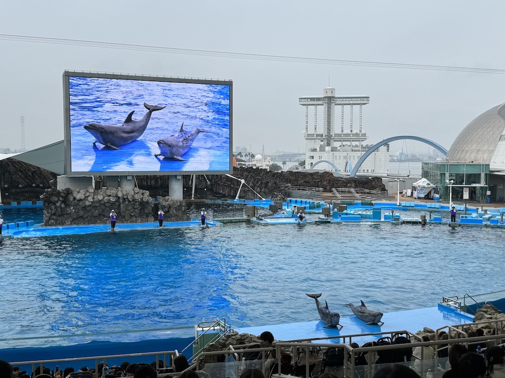 IMG 0296 【日本｜名古屋】初見殺人鯨的感動，一整天逛不完！開箱日本最大水族館！