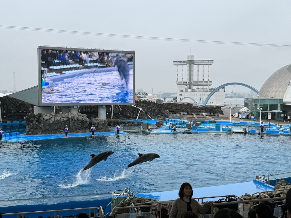 IMG 0297 【日本｜名古屋】初見殺人鯨的感動，一整天逛不完！開箱日本最大水族館！