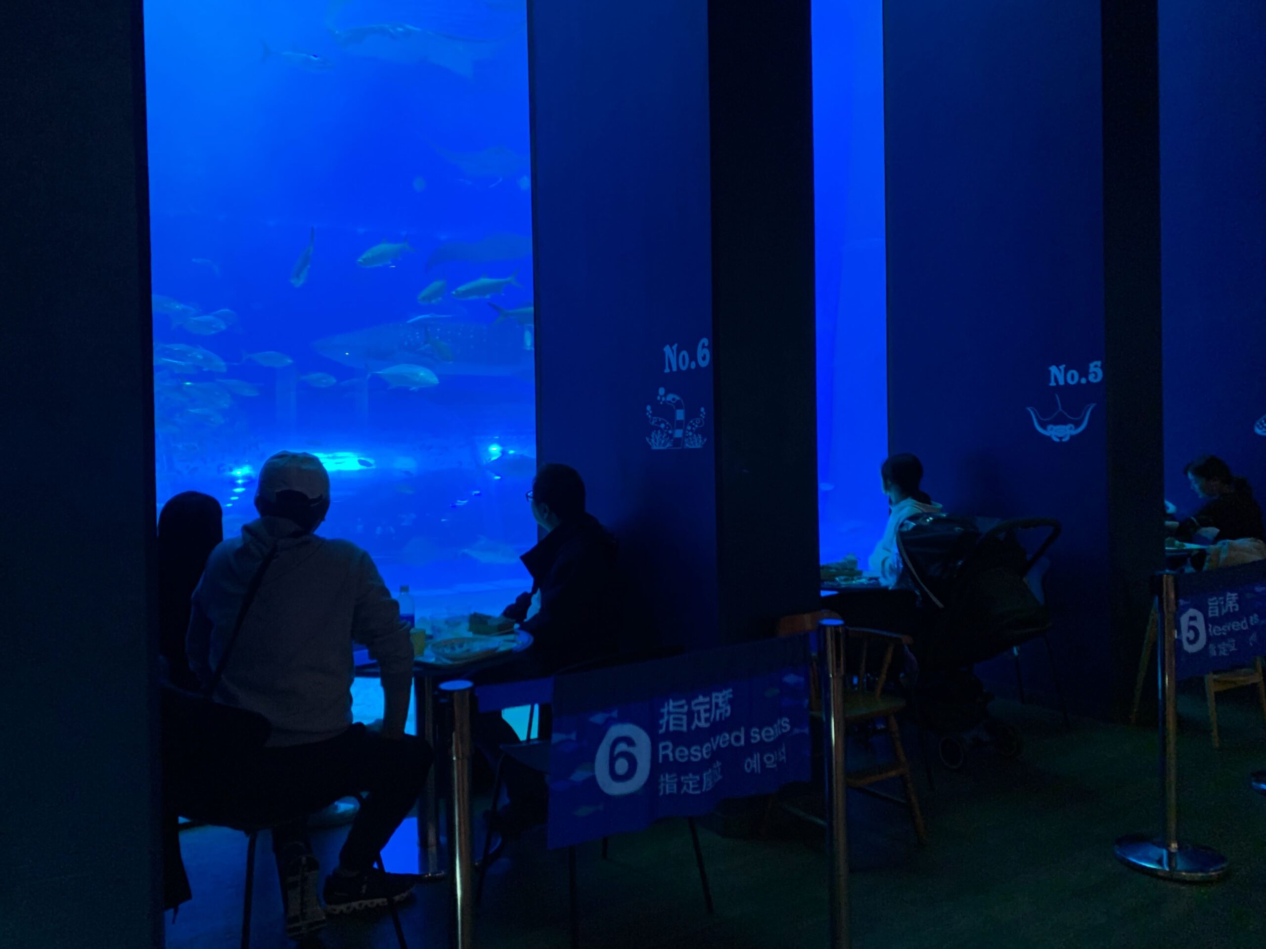 沖繩美麗海水族館內的 Ocean Blue 咖啡廳