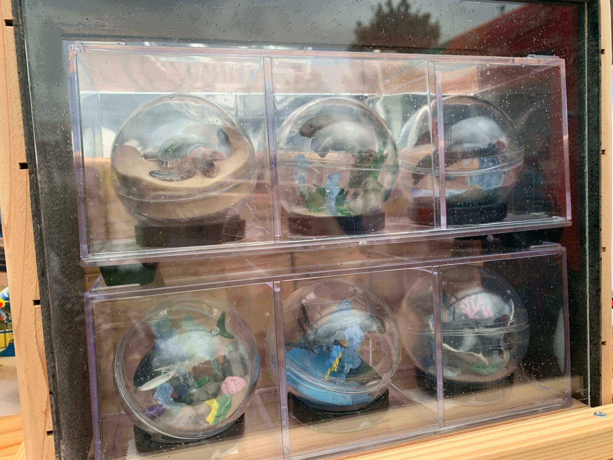 美麗海水族館外六款透明外殼的扭蛋