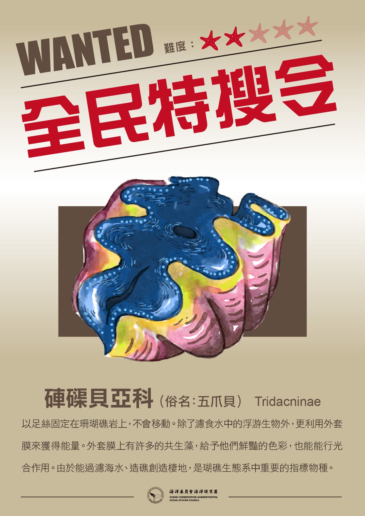 生物懸賞 0218 硨磲貝亞科 海洋保育署 海洋關注物種目擊回報推廣計畫