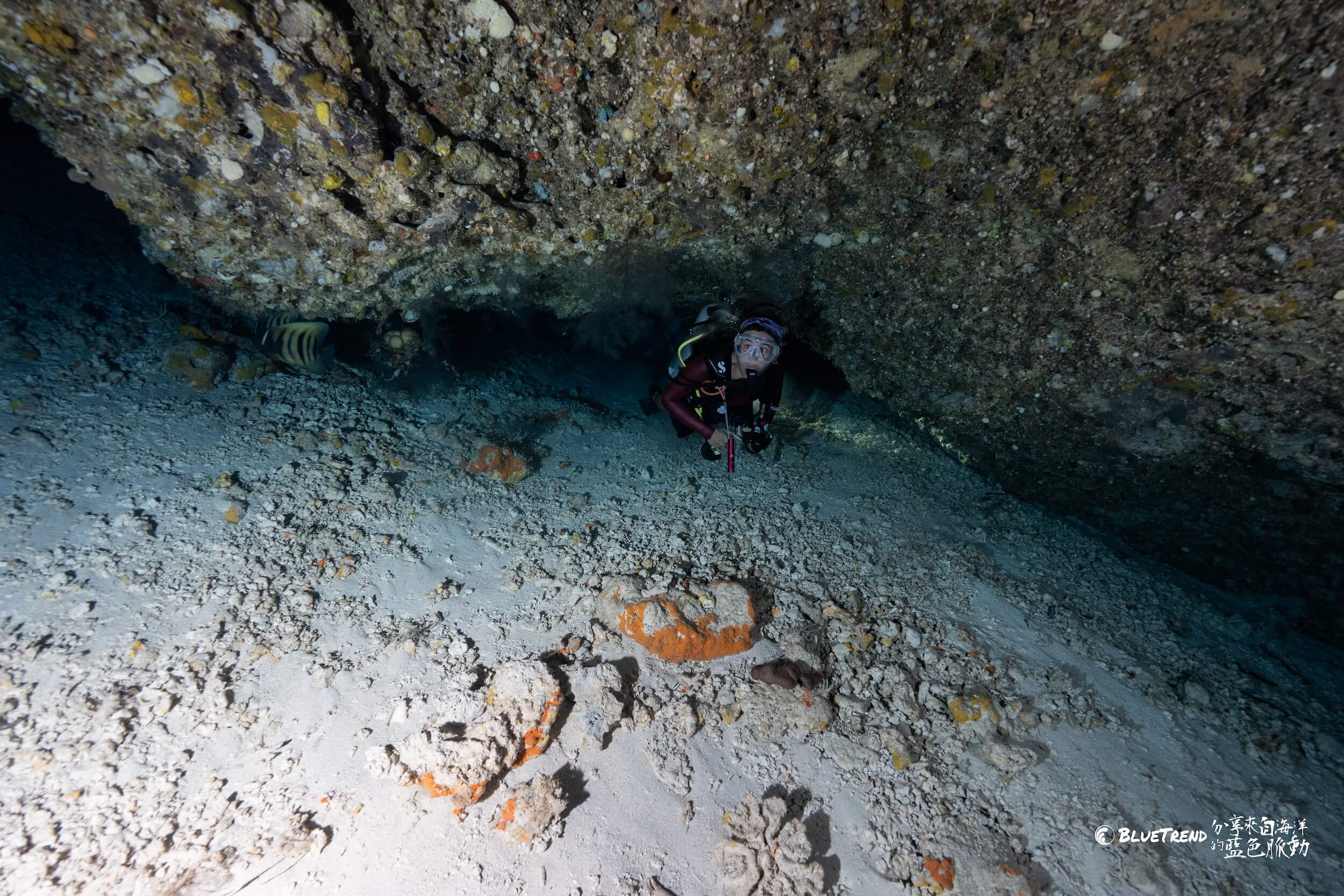DSC08683 初探帛琉潛水 3 大潛點 : 藍洞、藍角、德國水道，替 Spawn Diving 暖身做準備
