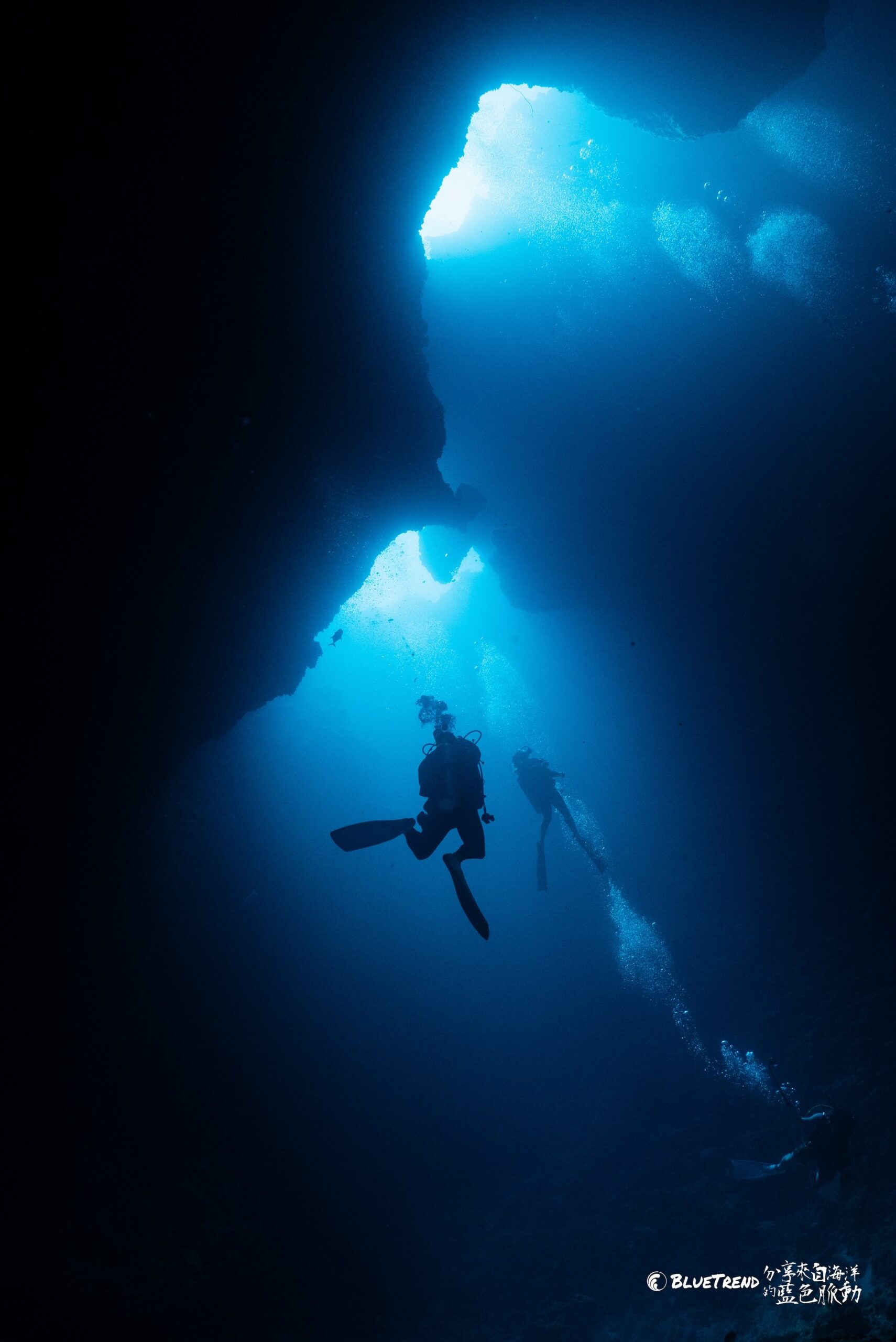 DSC08746 scaled 初探帛琉潛水 3 大潛點 : 藍洞、藍角、德國水道，替 Spawn Diving 暖身做準備