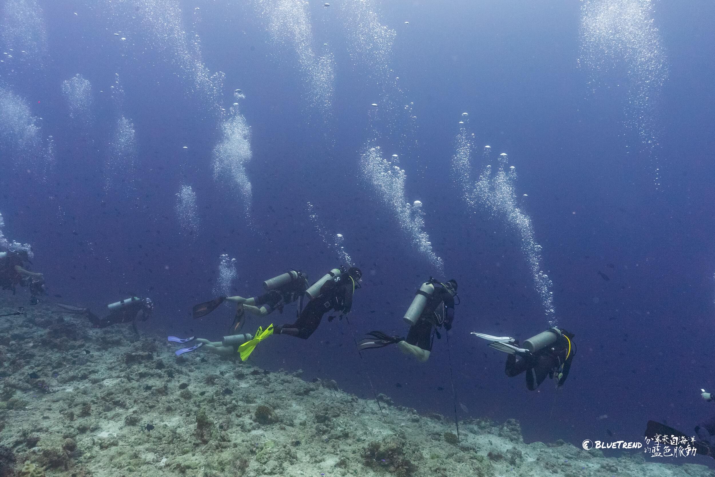 DSC08778 初探帛琉潛水 3 大潛點 : 藍洞、藍角、德國水道，替 Spawn Diving 暖身做準備