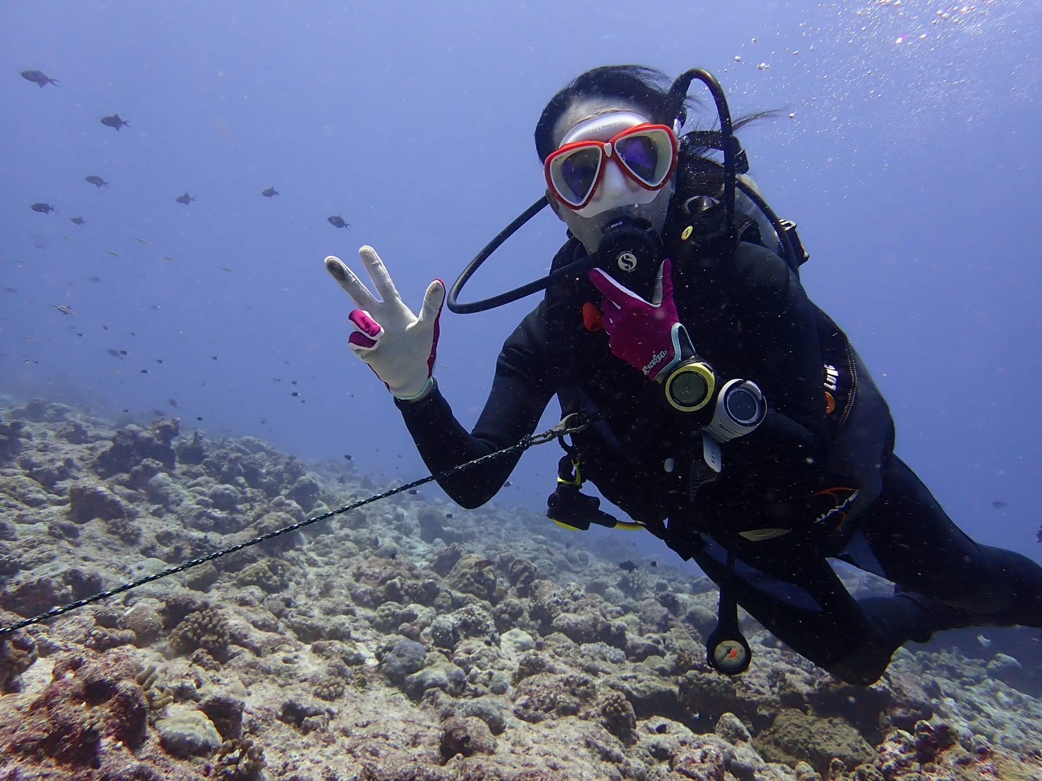 S 60276750 帛琉海洋保育：起源於 Bul 的全球影響力 專訪駐帛琉大使黎倩儀
