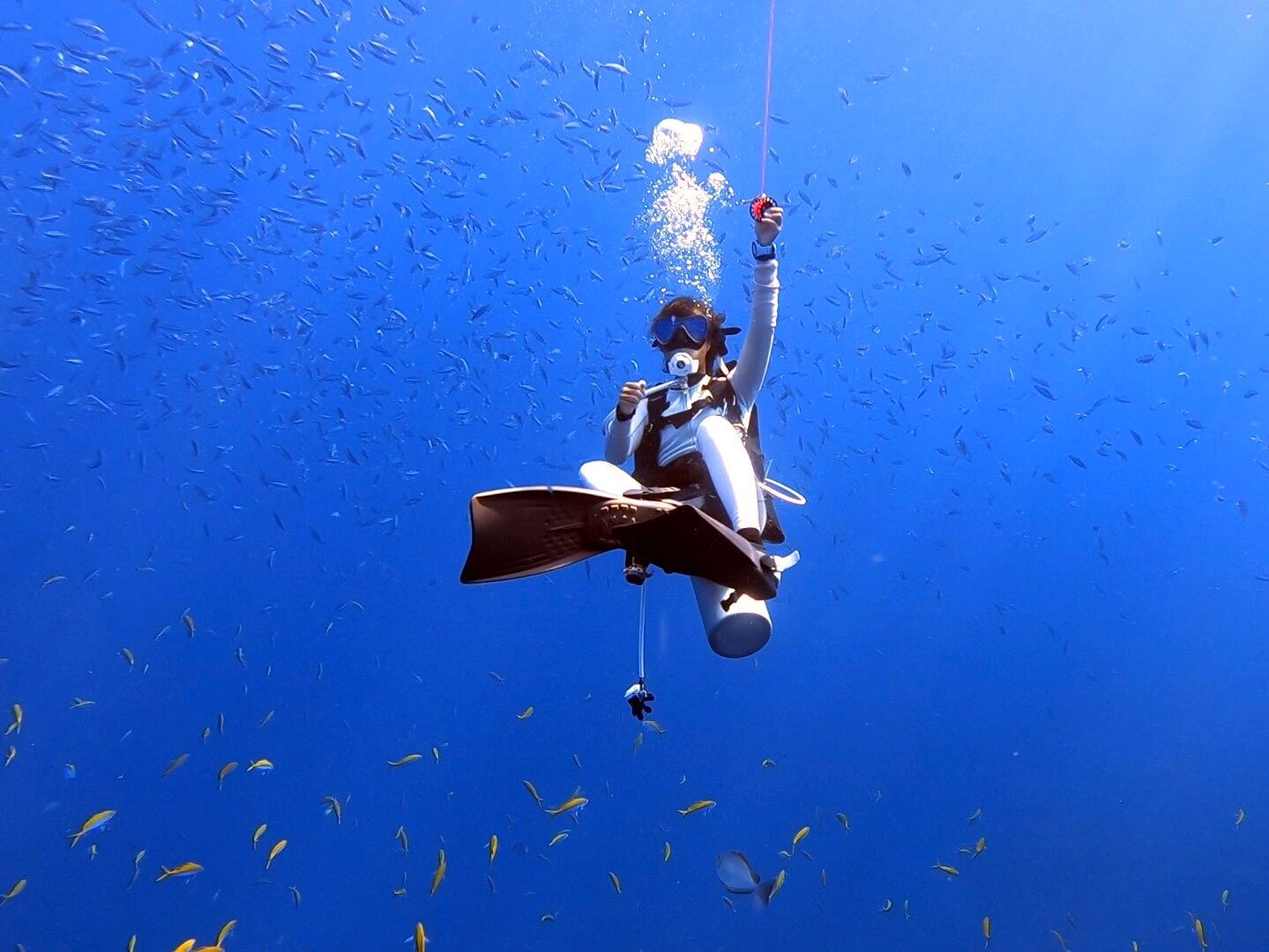 潛水潛水人生 澳洲潛水 日本潛水 沖繩潛水 塞班島潛水 打工度假