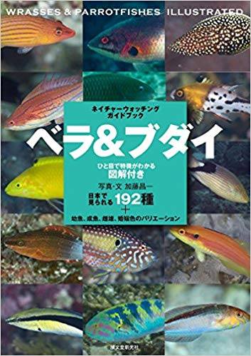 海洋博物誌 魚類辨識 小林安雅 加藤昌一