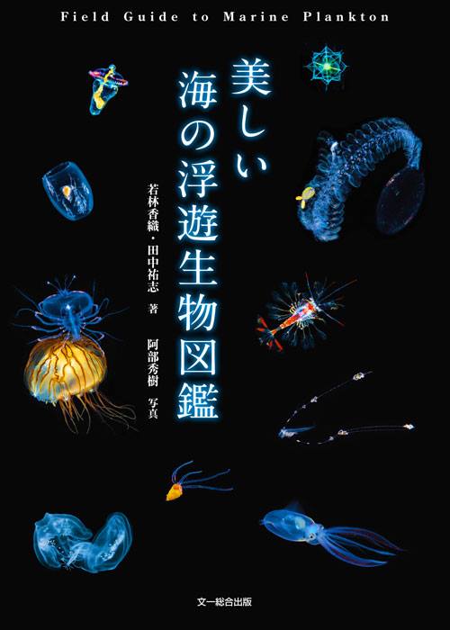 海洋博物誌 魚類圖鑑 魚類辨識