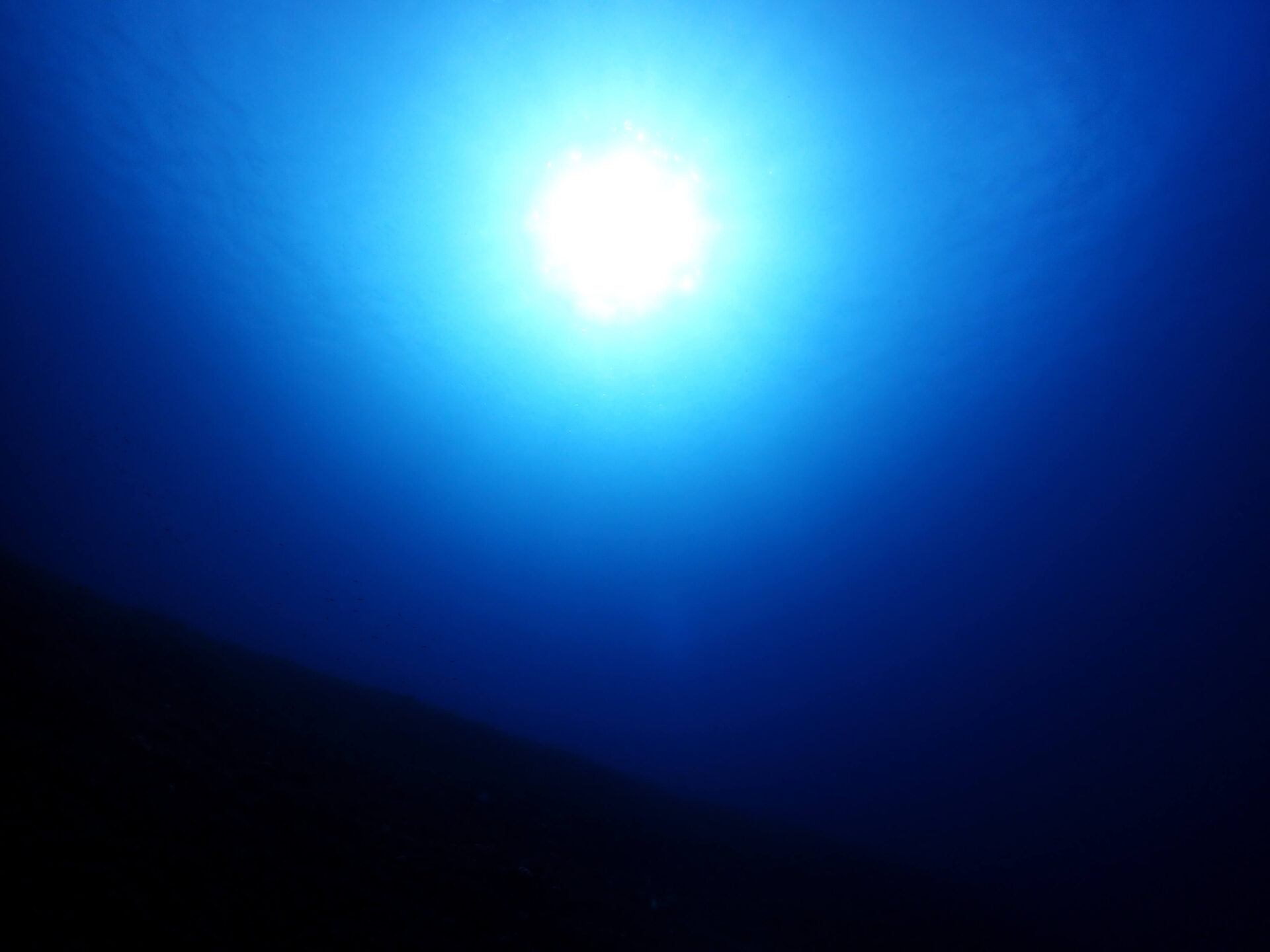 沖繩潛水,石垣島潛水,manta point