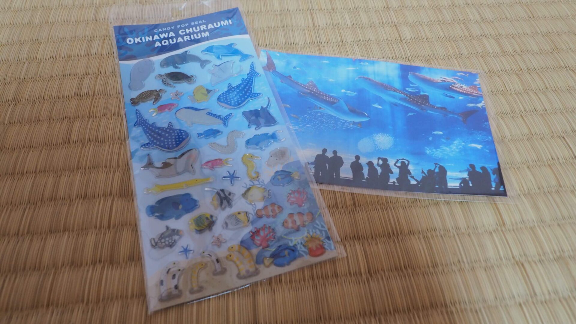 沖繩 海洋小物 紀念品 海博館 美麗海水族館
