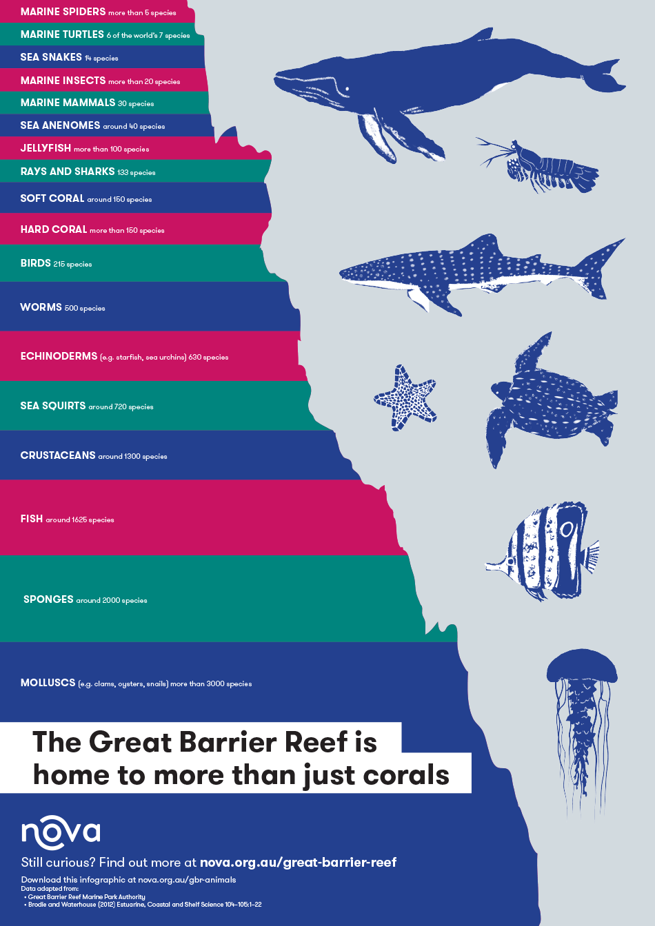 great barrier reef biodiversity 20160715