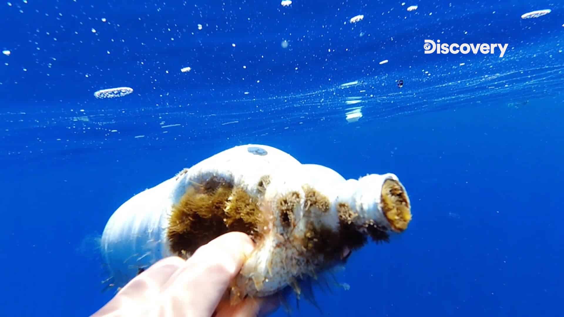 海洋廢棄物 discovery 塑膠的真相